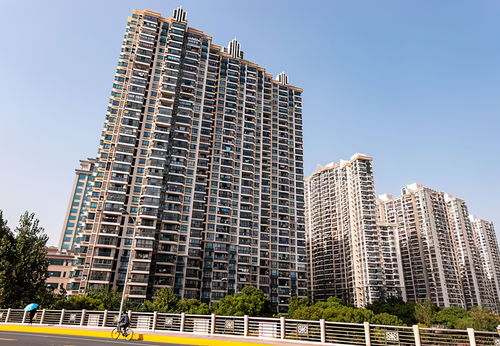 常平到阳春的汽车价格分析与建议