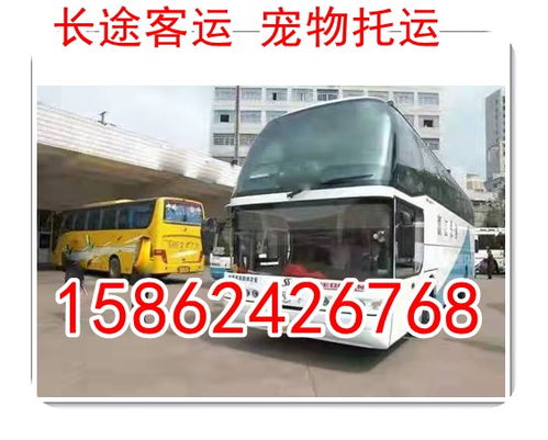 汉中至深圳的长途汽车线路 汉中至深圳的长途汽车线路