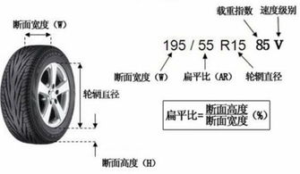 轮胎直径的定义与测量