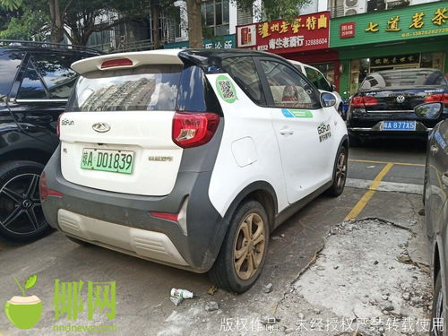 海南投放共享汽车的费用分析
