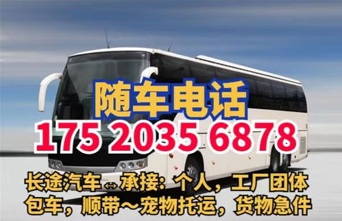 大英到绵阳的汽车票价查询