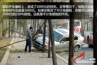汽车不计免赔险费用详解