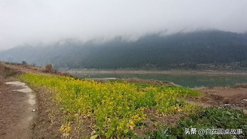 芮城到西安的车程时间