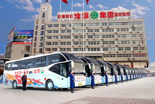 沧州商用汽车市场概述