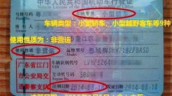 信阳市的汽车年检收费标准详解