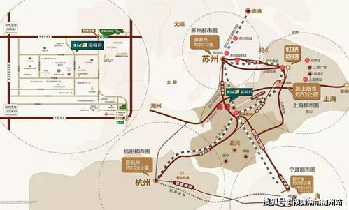 浙江义乌汽车油价最新行情分析