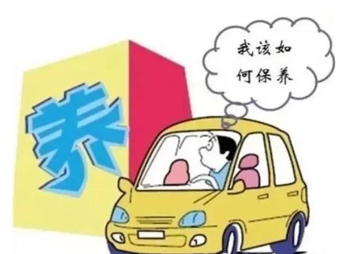 汽车保养缺货了吗？了解价格波动的真相