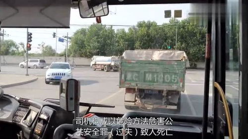 公共汽车的长度解析，从英语视角看