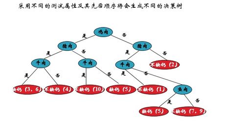 基本概念与分类