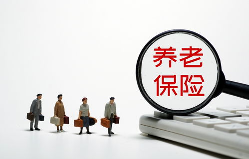 去年基本养老保险参保人数达10.7亿人