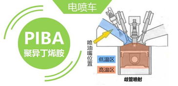 车辆类型与清洁需求