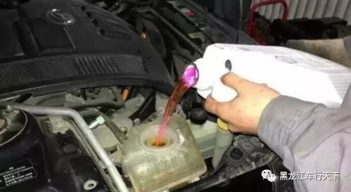 汽车水箱开关的价格与选择指南