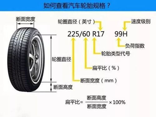 汽车轮胎运输费用的计算与分析