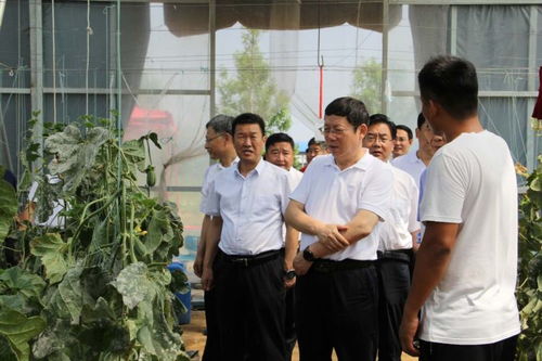 滨州汽车站乡镇电话是多少？