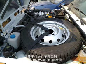 爱丽舍汽车高压包价格详解
