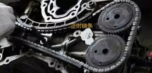 汽车链条改轴承的价格分析