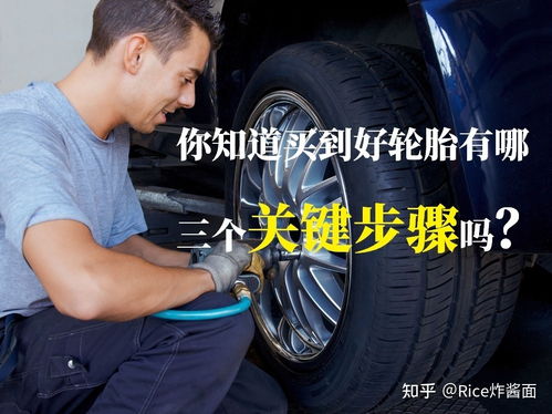 汽车后壳的价格解析与选购指南 汽车后壳的价格解析与选购指南