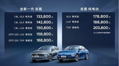 现代最大电动汽车的价格分析与购买指南