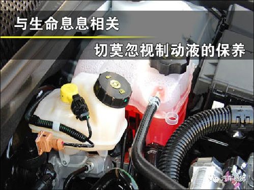 制动液的重要性