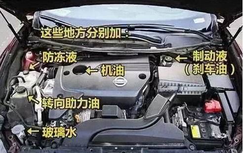 汽车冷却水与机油的容量对比分析
