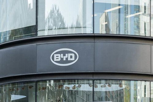 比亚迪股份有限公司（BYD）