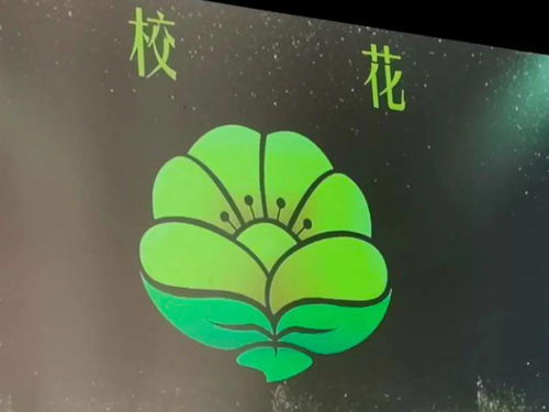 小汽车在上海进行年检的费用
