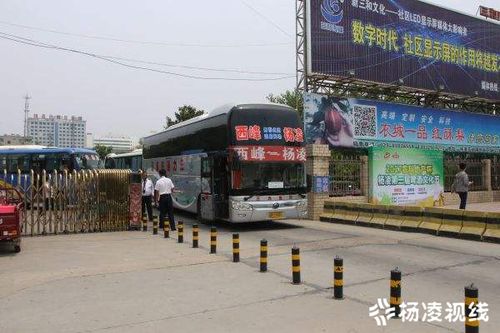 杨凌汽车站的公众号是什么？