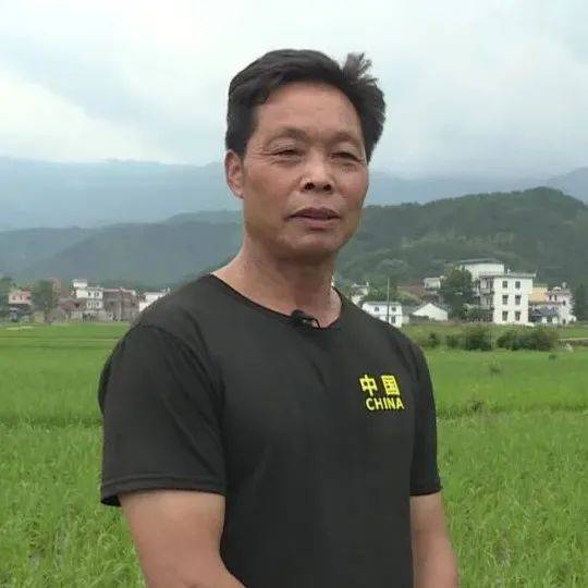 西安到陇县的汽车票价及行程指南