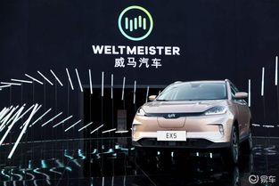 探索汽车新势力—日蔚汽车的崛起与市值
