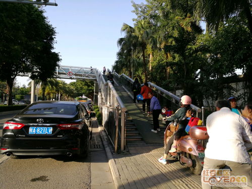 陕西一少年骑自行车冲下人行天桥，悲剧背后的教训与警示