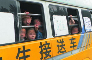 新规出台，小汽车超员不再罚款！为何这一改变引发广泛关注？