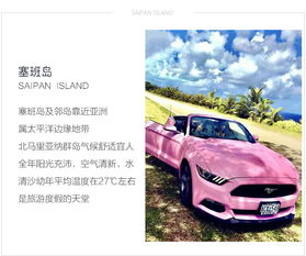 上海定制汽车租赁的价格构成分析
