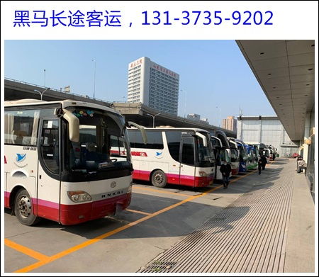 阳谷到济宁的汽车长途电话是多少？