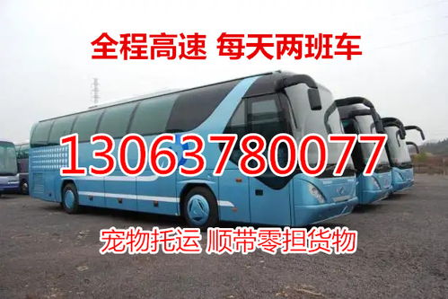 乐平到德兴的汽车票价解析