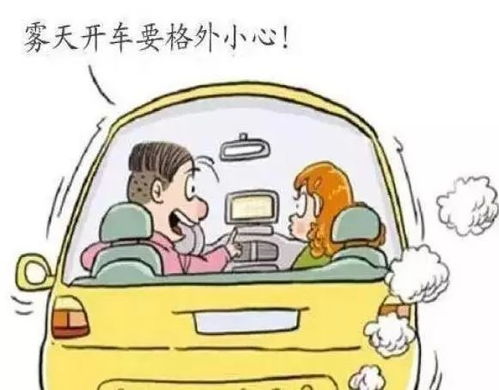 汽车远程安全距离探讨，确保行车安全的关键因素