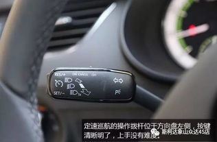 小排量汽车平均油耗分析