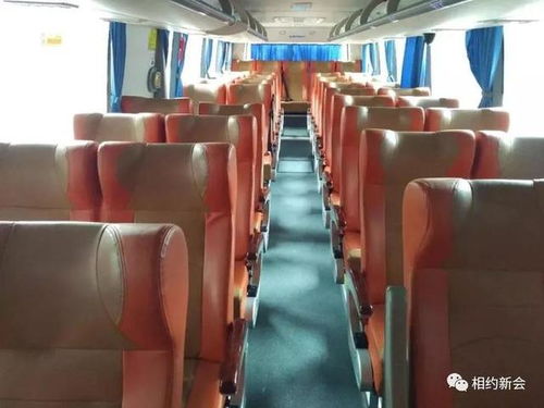 江门汽车皮革修复服务解析与价格指南