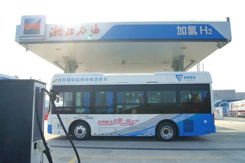 多少路公交到平湖汽车站? 多少路公交到平湖汽车站?