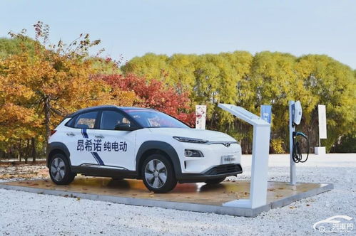 八万起步，汽车上的燃油之路