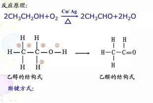 小汽车92号汽油的加注量与成本分析