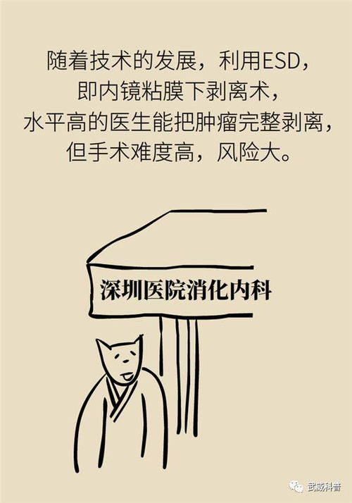 为什么我们需要镜子？