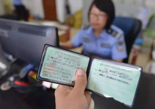 了解汽车驾驶执照的年龄要求 了解汽车驾驶执照的年龄要求