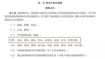汽车自然灾害险的赔偿金额解析 汽车自然灾害险的赔偿金额解析