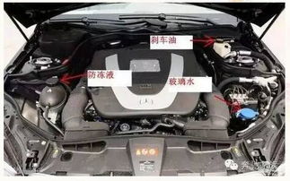 现代汽车防冻液的价格与选择