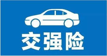 汽车购买强制保险的费用