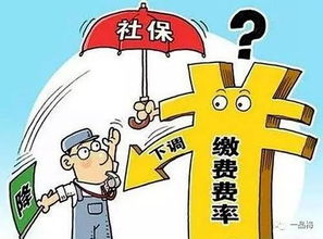 汽车保险的明智选择，了解并评估各种保险类型
