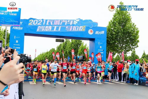 大连北站周边的哈弗汽车价格分析
