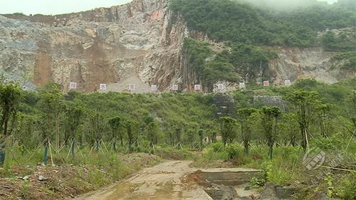 赤壁与通山简介