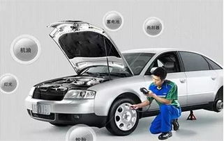 车辆类型