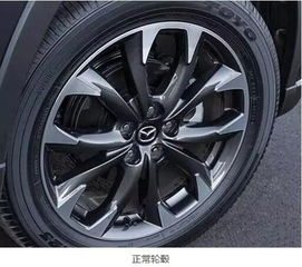 汽车轮胎的重要性与标准